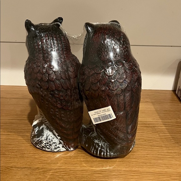 Outdoor Owl Decoys (Set of 2) - Picture 3 of 4